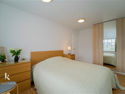 Picture 20